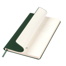 Ежедневник Spark недатированный, зеленый (без упаковки, без стикера) Ежедневник Spark недатированный, зеленый (без упаковки, без стикера)