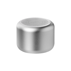 Беспроводная колонка Passion 80dB 600 mAh (Bluetooth 5.0), серебряная