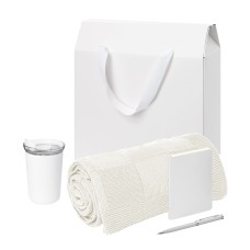 Подарочный набор Welcome Pack Spark mini, серебряный (термокружка, блокнот, ручка, плед, коробка-пакет)