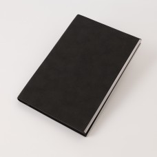 Ежедневник City New Standart недатированный, черный